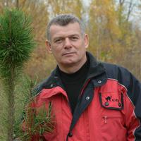 Отзыв от Мирон - DTV виза